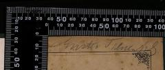 - (Treuenfels, Gustav), Von Hand: Name; 'Gustav Truenfels'. 