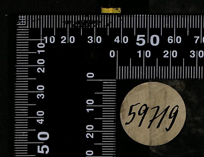 - (Bibliothek der Jüdischen Gemeinde zu Berlin), Etikett: Exemplarnummer; '59719'. 