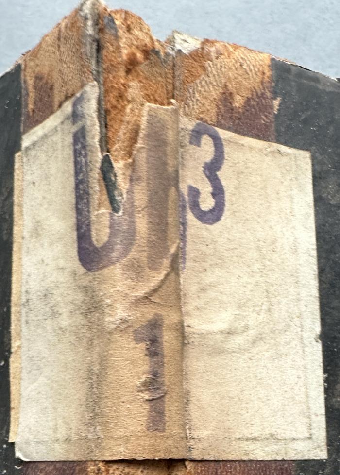 -, Etikett: Signatur; 'Üb 3 1'