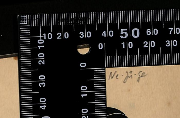 - (Leo Baeck Institute Jerusalem), Von Hand: Notiz; 'Ne. jü. Ge.'.  (Prototyp)