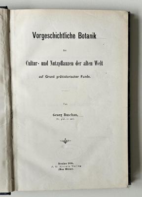 NF 1165 B977 : Vorgeschichtliche Botanik der Cultur- und Nutzpflanzen der alten Welt auf Grund prähistorischer Funde (1895)