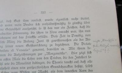 VIII 630: Das Leben Friedrich Nietzsche's. Zweiter Band. Zweite Abtheilung (1904);- (Stern, Erich), Von Hand: Annotation; 'nicht "Menschliches, allzu menschliches"??'. 