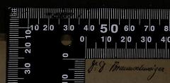 - (Braunschweiger, David), Von Hand: Name; 'Dr. D. Braunschweiger.'.  (Prototyp)