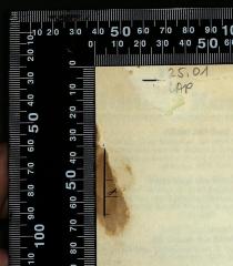 - (Goethe Institut Israel), Ausriss: ; '[remnants of circulation card]'. 