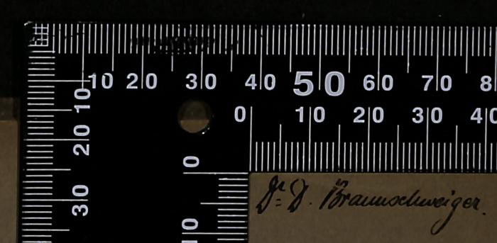 - (Braunschweiger, David), Von Hand: Name; 'Dr. D. Braunschweiger.'.  (Prototyp)