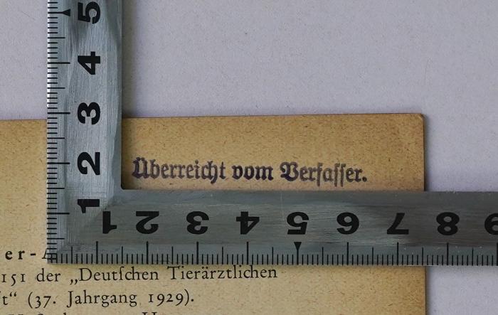 Im 31 : Vorlesungen über Infektion und Immunität (1912);- (Müller, Paul Theodor;Hygienisches Institut der Tierärztlichen Hochschule Berlin;Tierärztliche Hochschule Berlin), Stempel: Besitzwechsel; 'Überreicht vom Verfasser.'. 