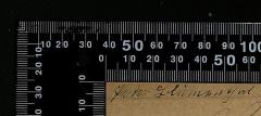 - (Lilienthal, Victor), Von Hand: Name; '[Victor]  Lilienthal'. 