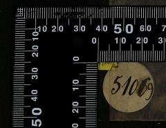 - (Bibliothek der Jüdischen Gemeinde zu Berlin), Etikett: Exemplarnummer; '51069'. 