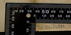 - (Weitz, Ch.), Von Hand: Buchbinder, Preis; 'Ch. Weitz 0.25'. 
