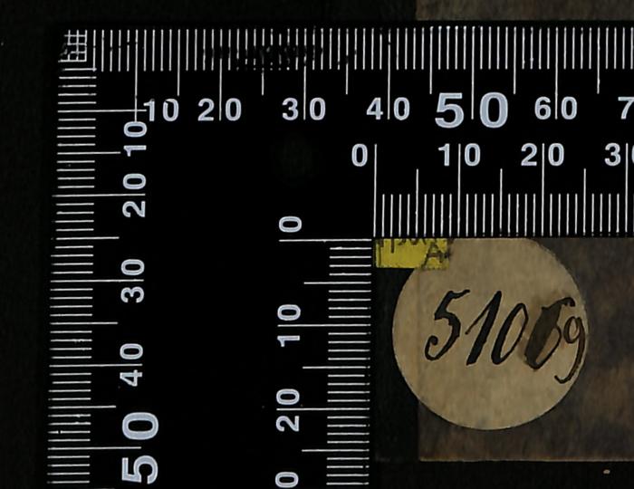 - (Bibliothek der Jüdischen Gemeinde zu Berlin), Etikett: Exemplarnummer; '51069'. 