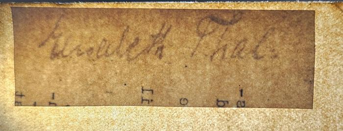 DD 9720 S221 : Die Pädagogik Wicherns (1913);- (Thal, Elisabeth), Von Hand: Autogramm, Name; 'Elisabeth Thal.'. 