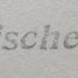 Kk 348 Ers.: Wesen und Bedeutung des Schmerzes (1936)