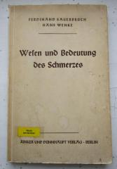 Kk 348 Ers.: Wesen und Bedeutung des Schmerzes (1936)