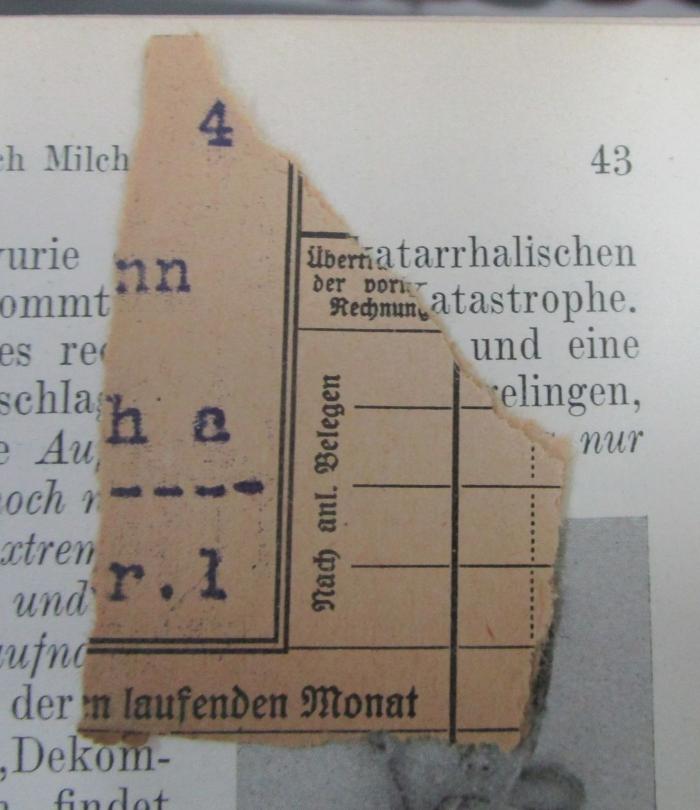 Kn 3 2.Ex.: Die Nährschäden des Kindes : Ihre Entstehung, Verhütung und Heilung : Ein Leitfaden für die Praxis (1928);- (unbekannt), Papier: ; '[...]4
[...]nn
[...]h a
[...]r. 1
[...]en laufenden Monat
Nach anl. Belegen
Über[...]
der vor[...]
Rechnung[...]'. 