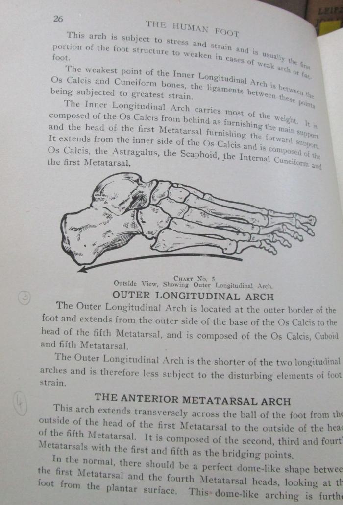 Km 250: The human foot : anatomy, deformities and treatment ([1920]);- (unbekannt), Von Hand: Annotation. 