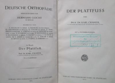 Km 244: Der Plattfuss (1925)