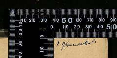- (Blumenthal, Ernst), Von Hand: Signatur; 'P. Blumenthal'. 