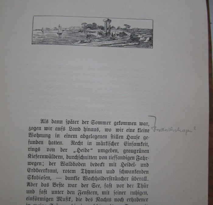 III 34145: Sehnsucht (1893);- (unbekannt), Von Hand: Annotation. 