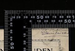 - (Trietsch, Davis), Von Hand: Signatur; 'Mit herzlichen Grüssen,
Davis Trietsch'. 