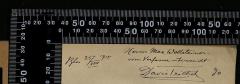 - (Trietsch, Davis), Von Hand: Widmung; 'Berlin 25/VIII 1915
Herrn Max Wilstätter
vom Verfasser überreicht
Davis Trietsch'. 