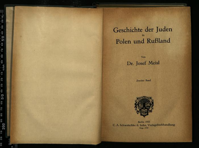 JUD III B 99 301 B : Geschichte der Juden in Polen und Rußland (1922)