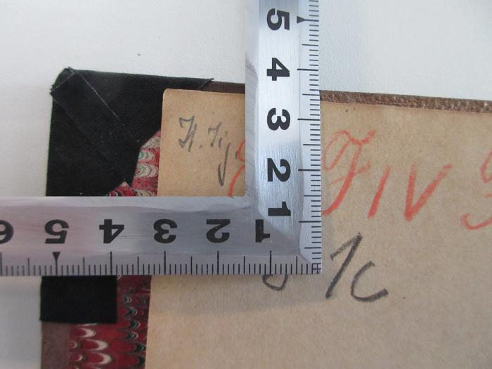 - (Haseloff, Arthur), Von Hand: Annotation; 'It. Kg'. 