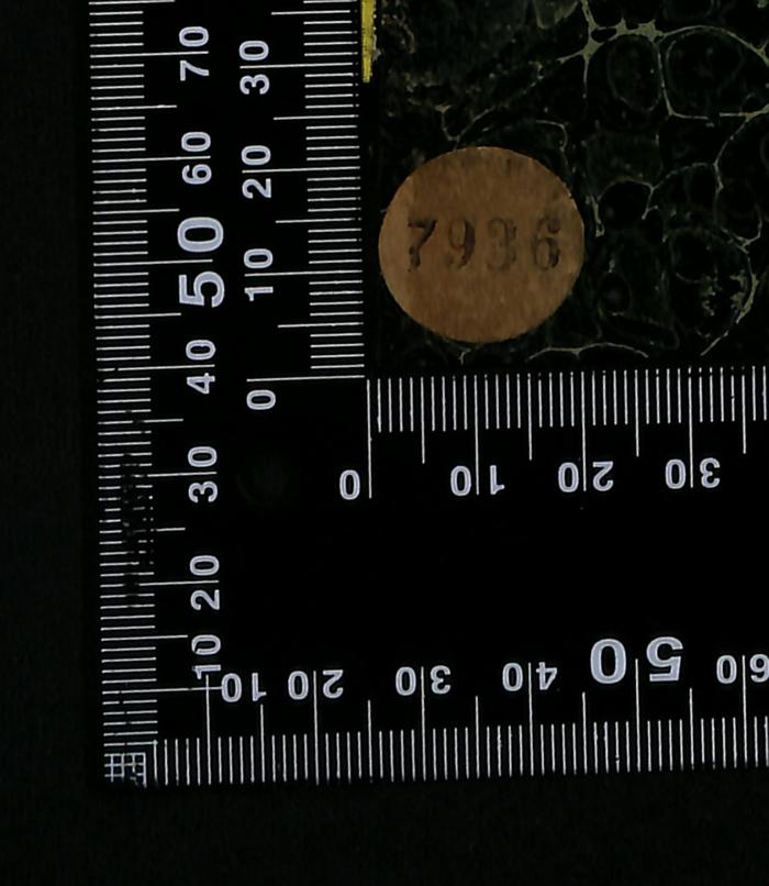 - (Jüdische Gemeinde zu Berlin), Etikett: Signatur; '7936'. 