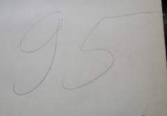G45 / 3169 (Bergungsstelle 095, Bibliothek des Herrn Grün), Von Hand: Nummer; '95'.  (Prototyp)
