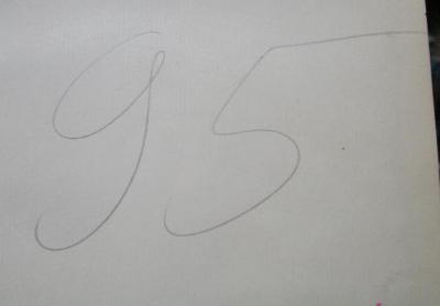 G45 / 3169 (Bergungsstelle 095, Bibliothek des Herrn Grün), Von Hand: Nummer; '95'.  (Prototyp);Bf 126 2.Ex.: Geographische Schachtelhalme : Mit Lebenserinnerungen durchrankte Reiseskizzen über Gebiete des Mittelmeeres und des südöstlichen Europa (1909)