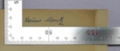 -, Von Hand: Name; 'Bruno Mentz.'