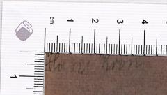 - (Kron, Hans), Von Hand: Autogramm; 'Hans Kron'. 