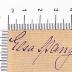 - (Nörrenberg, Elsa), Von Hand: Autogramm; 'Elsa Stange.'.  (Prototyp)