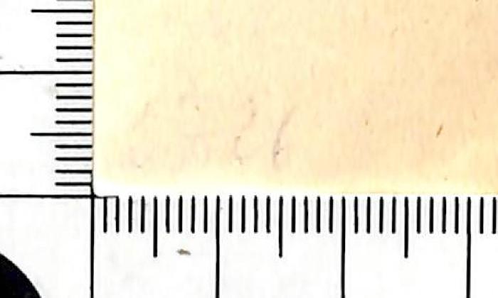 - (Deutsches Reich. Reichsarchiv. Bücherei ), Von Hand: Nummer; '[getilgt] 5726[?]'. 