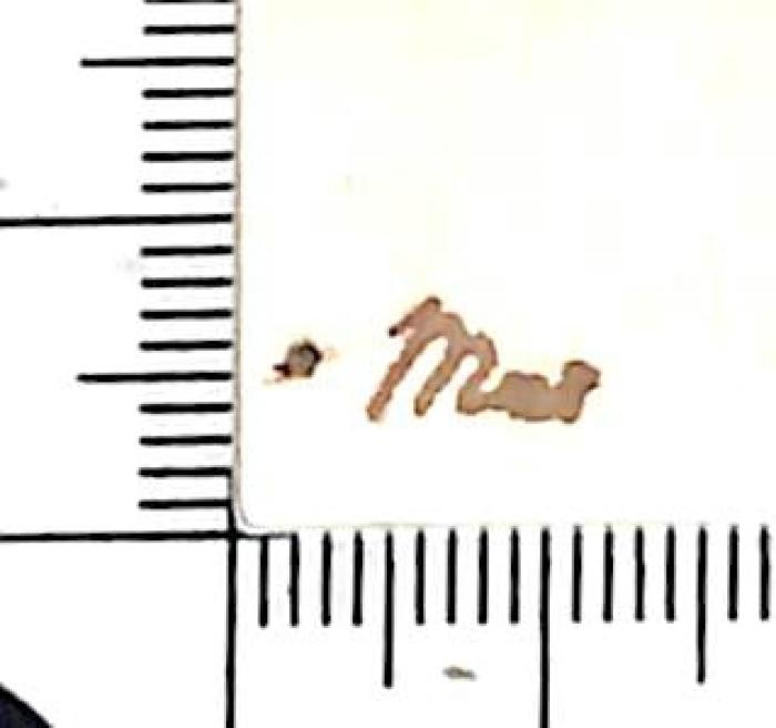 - (unbekannt), Von Hand: Notiz; 'Max[?]'. 