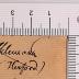 - (Ahlemann), Von Hand: Autogramm; 'Ahlemann'.  (Prototyp)