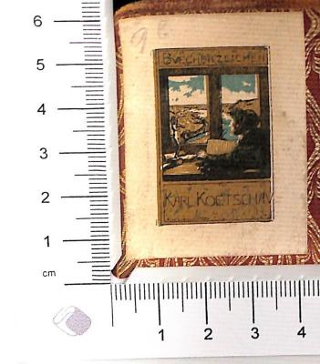 DLIT7949:8 : Romane und Novellen (1905)