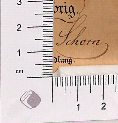 - (Schorn), Von Hand: Autogramm; 'Schorn'.  (Prototyp)