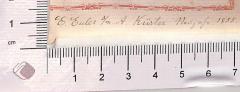 - (Küster, A. ;Euler, E. ), Von Hand: Widmung; 'E. Euler o/m A. Küster Neujahr 1855'. 