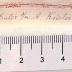 DLIT8297 : &lt;&gt; Lieder des Mirza-Schaffy mit einem Prolog (1854)