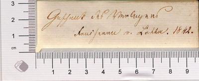 - (Voß, Hermann), Von Hand: Widmung; 'Geschenk [fünf unleserliche Worte]. 1842.'. 