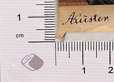 - (Küster, A. ), Von Hand: Autogramm; 'AKüster'.  (Prototyp)