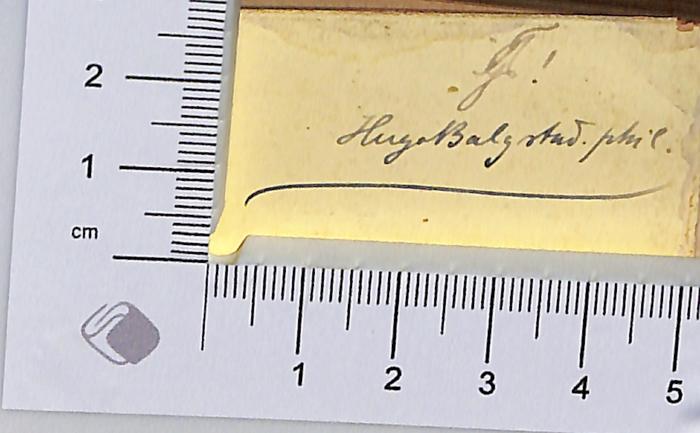 -, Von Hand: Autogramm; 'Hugo Balg [?] stud. phil.' (Prototyp)