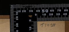 - (The National Library of Israel), Von Hand: Signatur; 'T14309'. 