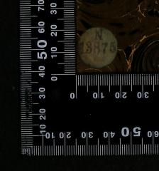 - (Jüdische Gemeinde zu Berlin), Etikett: Signatur; 'N13875'. 