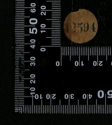 - (Jüdische Gemeinde zu Berlin), Etikett: Signatur; '12594'. 