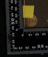 - (Jüdische Gemeinde zu Berlin), Etikett: Signatur; '8392'. 