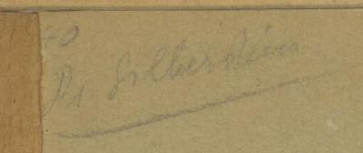- (Dr. Silberstein), Von Hand: Name; 'Dr. Silberstein'. 