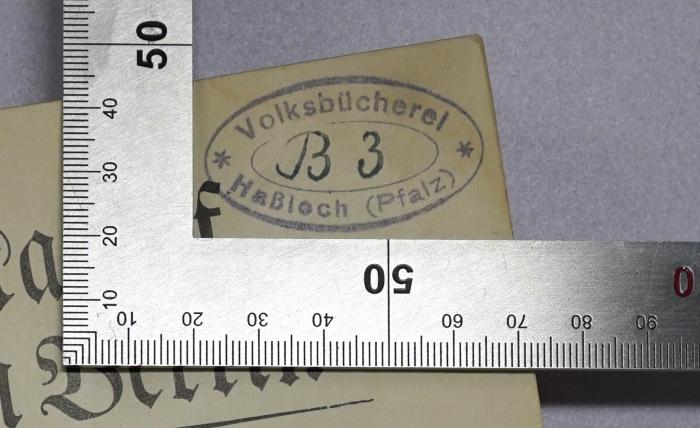 Ba 717&lt;8&gt; : Kampf um Berlin. Der Anfang (1935);-, Stempel: Berufsangabe/Titel/Branche, Ortsangabe, Signatur; 'Volksbücherei Haßloch (Pfalz) B3'