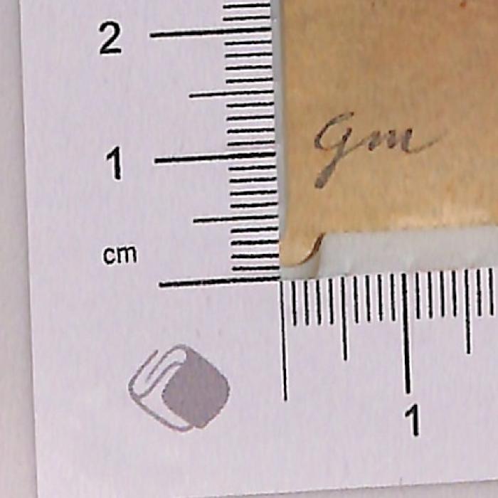 - (Weisstein, Gotthilf), Von Hand: Notiz; 'Gm'. 