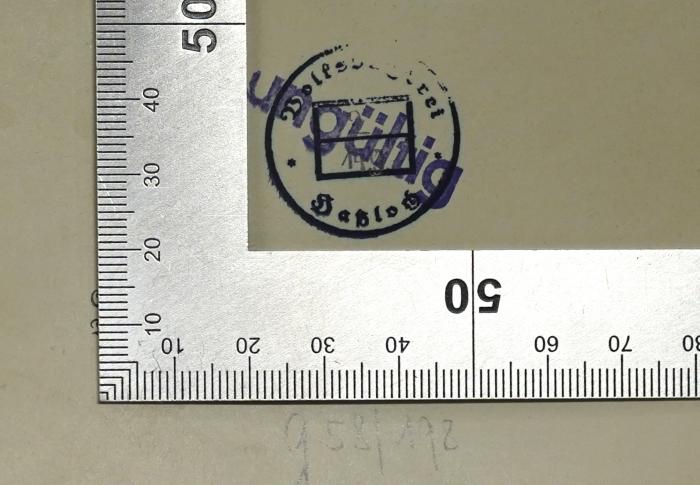 Ba 717&lt;8&gt; : Kampf um Berlin. Der Anfang (1935);-, Stempel: Berufsangabe/Titel/Branche, Ortsangabe, Signatur; 'Volksbücherei Haßloch 2/149'